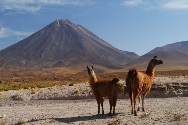 Travel Guide to Chile