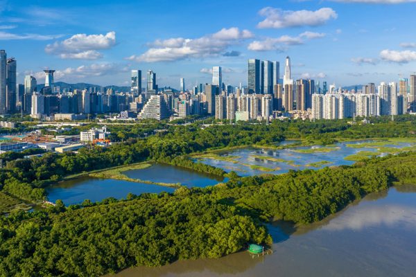 China unveils its International Mangrove Centre